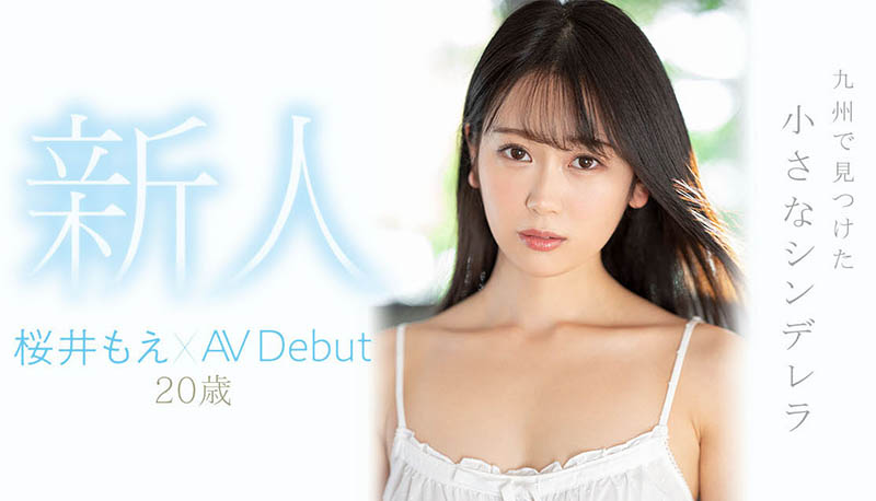 桜井もえ(樱井萌，Sakurai-Moe)品番作品MIDV-066介绍及预览-八美图