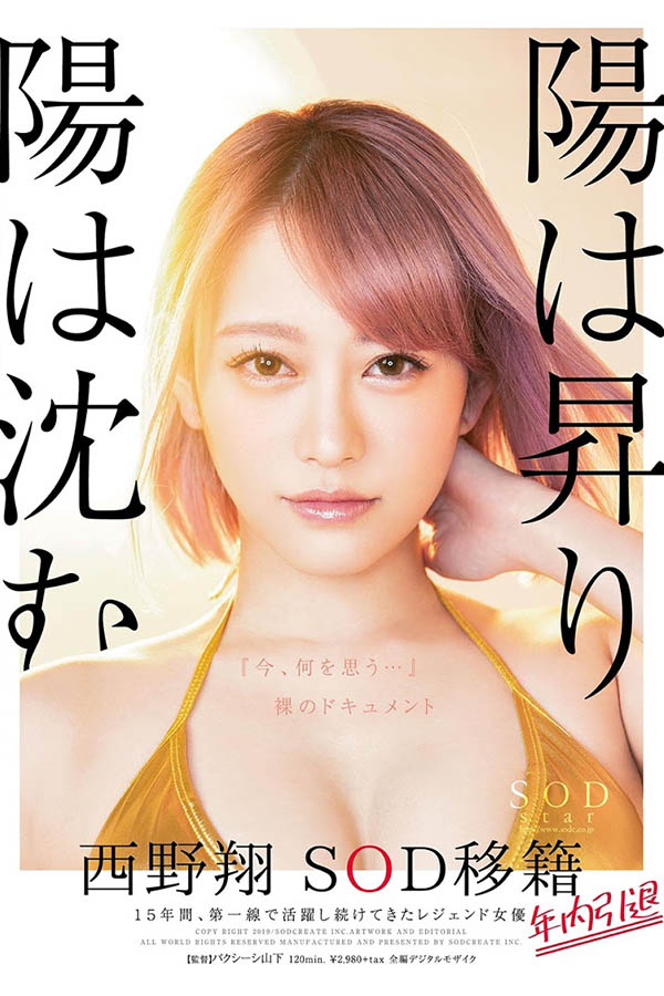 西野翔品番作品STARS-113介绍及预览-八美图