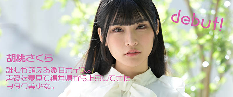 胡桃さくら(胡桃樱，Kurumi-Sakura)品番作品MOGI-013介绍及预览-八美图