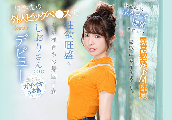 芦那しおり(芦那诗织)品番作品IPX-376介绍及预览-八美图