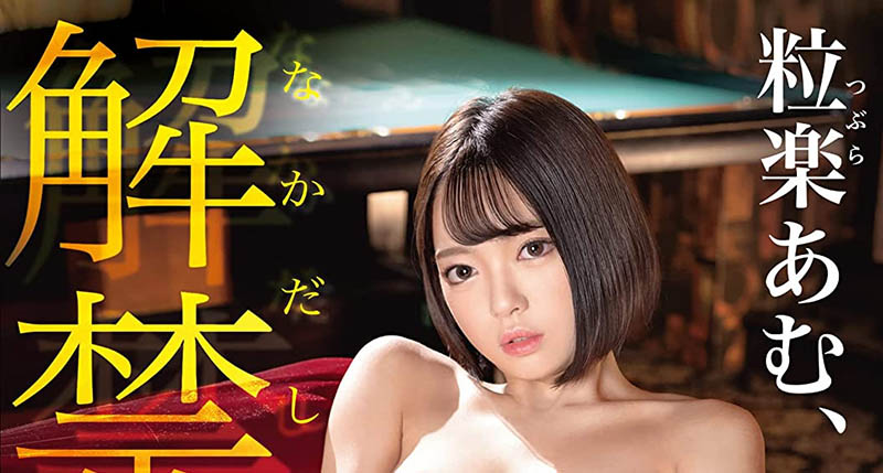 粒楽あむ(粒乐亚梦)最新品番作品ABW-344介绍及预览-八美图