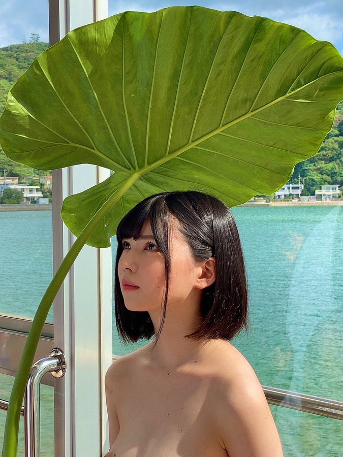 日野莉子(日野りこ）个人资料及品番作品推荐预览-八美图